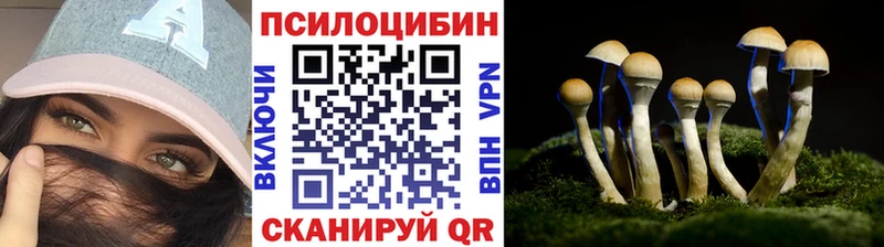 Псилоцибиновые грибы Psilocybine cubensis Купить Болгар